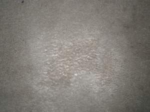 Carpet after stain removal